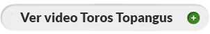 Ver video Toros Topangus